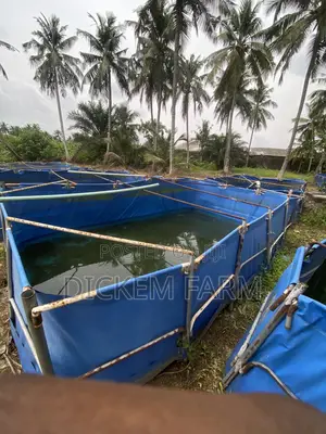 Mobile Fish Pond 9 X 15 Ft