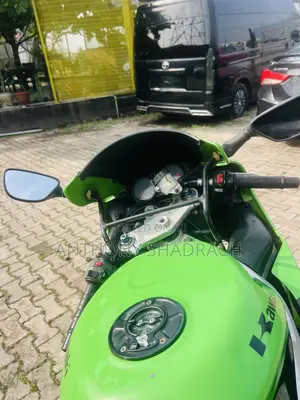 Kawasaki Ninja 1000 2002 Green
