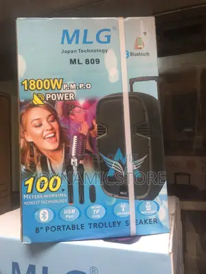 Mlg 8 Inches Public Address System 1800w
