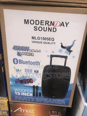 Modern Public Address System 12"