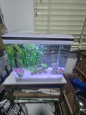 Imported Aquarium