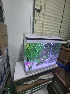 Imported Aquarium