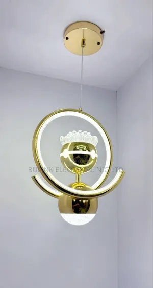 Ceiling Dropping Light Sorry