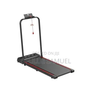 Executive Treadmil