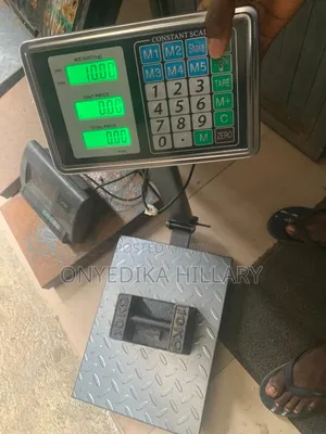 Electronic Platform Scale