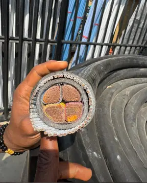 4core X 120mm Armored Cable Coleman