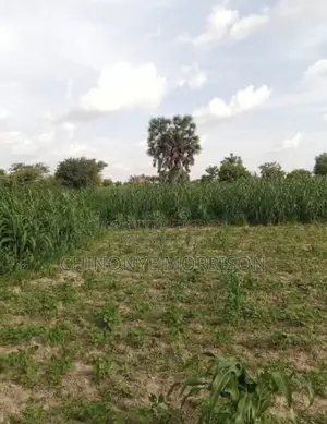 Land 600sqm