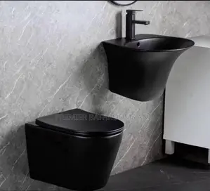 Matt Black Wall Hung Wc