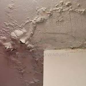 Damp and Paint Defects