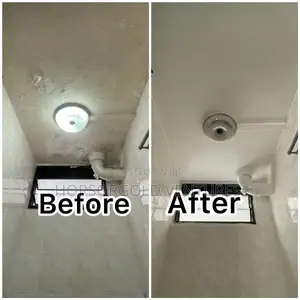 Wall Defects Remedy