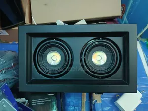 Double Recess Led Light