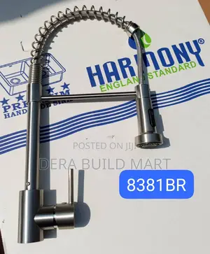 Long Neck Adjustable Kitchen Faucet