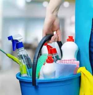 General House Cleaning and Maintenance