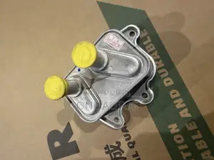 Geely Coolray Oil Cooler