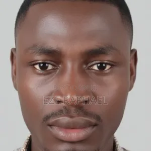 Sales Manager