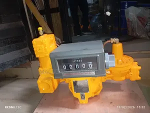 2" Gas Mechanical Flow Meter For Lpg  M50-cx10