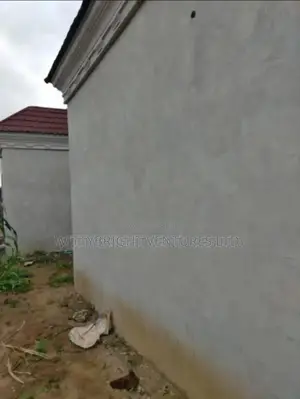 Wall and Ceiling Screeding