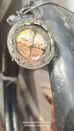 70mm 4core Armored Foreign Wire