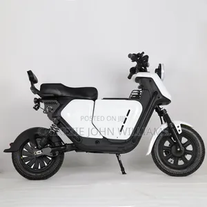 Electric Bike and I Have All Kinds of Electric Bikes