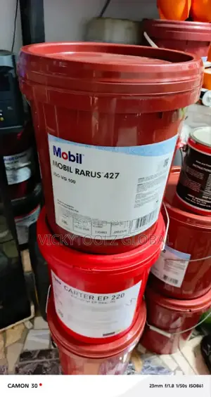 Mobil Rarus 427 Iso Vg 100