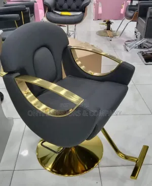Stylish Salon Chair