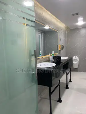 Frameless Door 10mm Tempered Plan Frosted Glass
