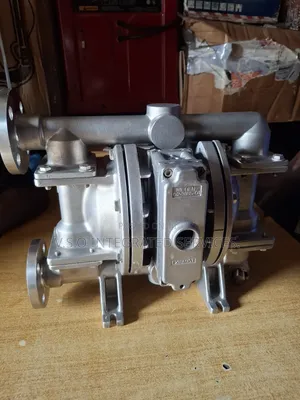 1" Flanged Stainless Wilden Double Diaphragm Pump (Advanced)