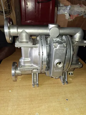 1" Flanged Stainless Wilden Double Diaphragm Pump (Advanced)