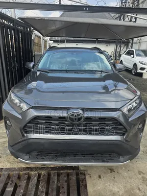 Toyota RAV4 XLE AWD 2020 Gray