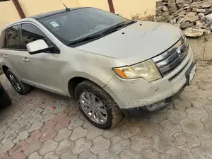 Ford Edge 2008 Silver