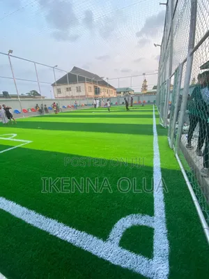 Football Pitch Grass
