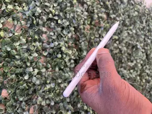 Apple Pen Pro