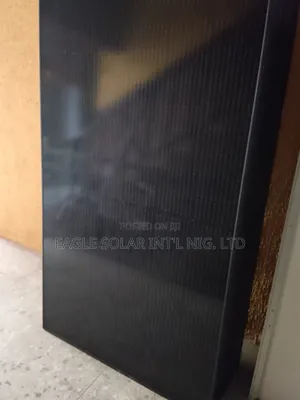 Longi Panel