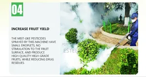Fogging Machine