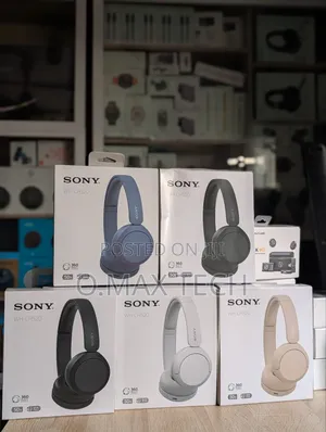 Sony Wh-ch520 Wireless Headphones