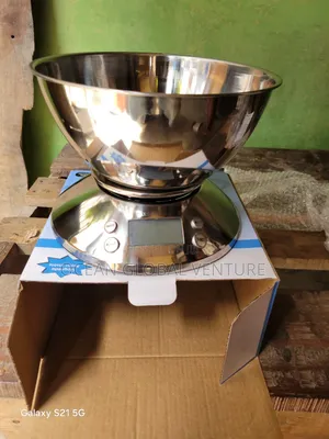 Stainless Scale