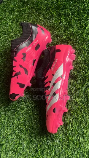Adidas Predator Ntbridytouch (46)
