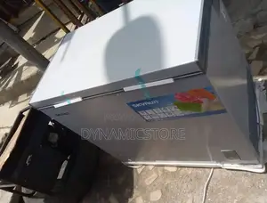 Skyrun Freezer 200l Silver Color (200a)