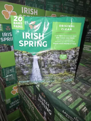 Irish Spring Bar Soap