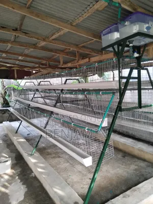 90 Biirds Layer Cage