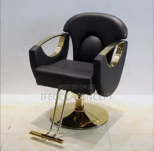 Professional Hair Salon Styling Chair