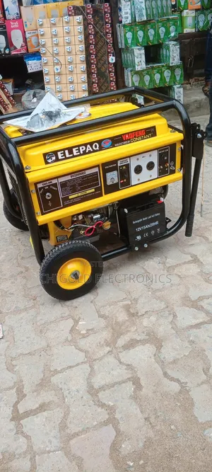 Original Elepaq Generator Sv 22 000 100% Copper Coin 12kva