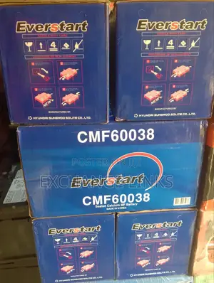 100ah Everstart Battery
