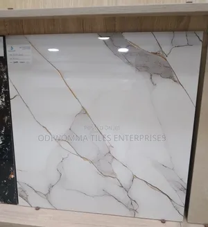 Elevate Your Space With Premium Wall and Floor Tiles