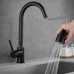 Black Pul Out Mixer Tap