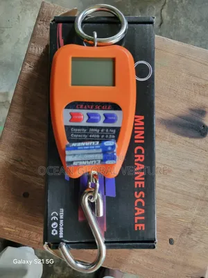 Crane Scale