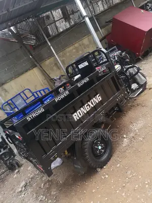 New Tricycle 2025 Black