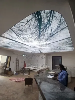 Stretch Ceiling