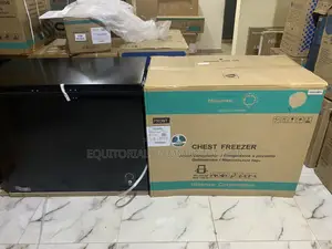 Hisense Fc-320sh Deep Freezer For Stores