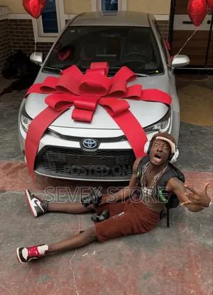Surprise Car Gift Big Ribbon Decoration